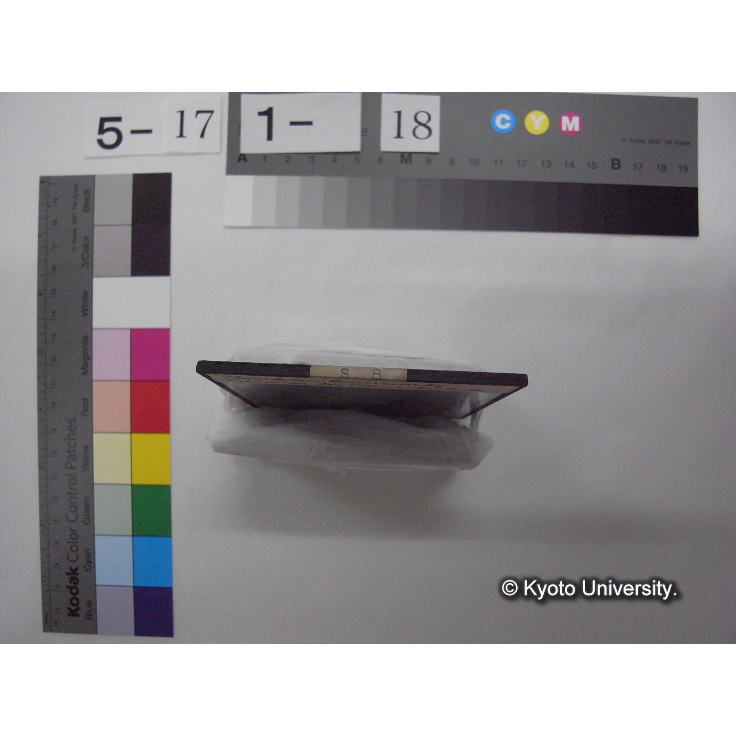 スライド(ガラス種板): S08 Plankton Excursion by Primaner der Oberrealschule. (2)