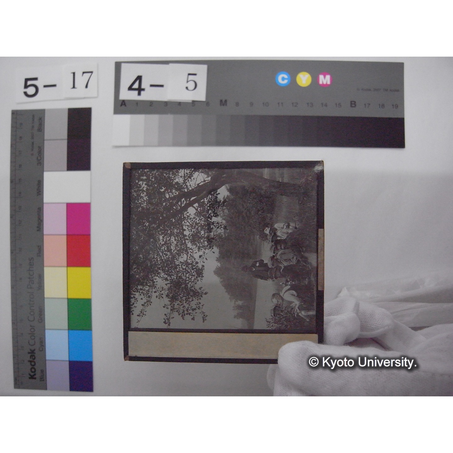 スライド(ガラス種板): S50 Freshwater Biological Station, Lunchtime on the coast of Douglas Lake (Limnology Class). (1)