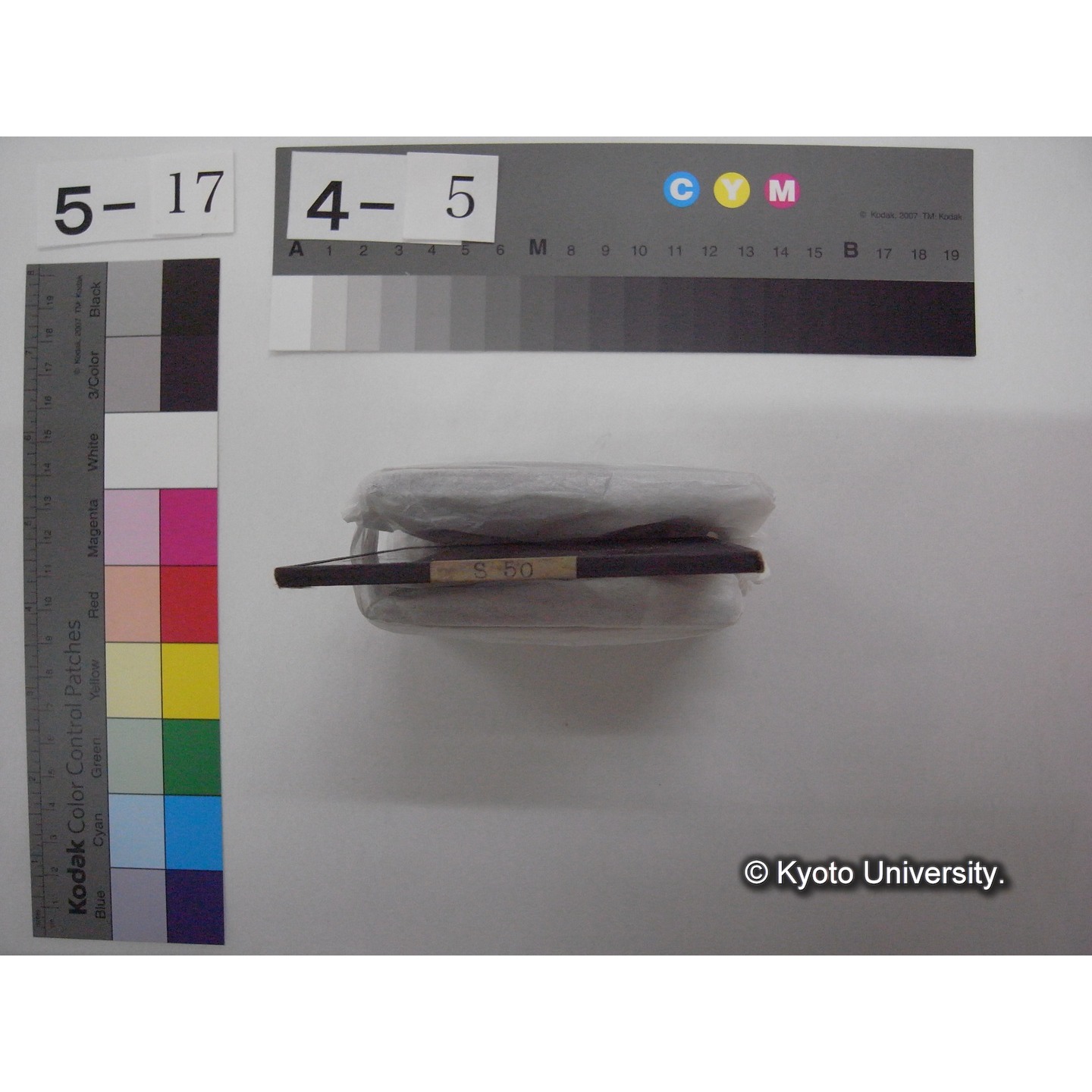 スライド(ガラス種板): S50 Freshwater Biological Station, Lunchtime on the coast of Douglas Lake (Limnology Class). (2)