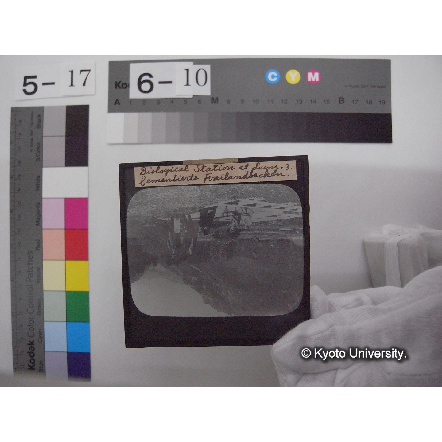 スライド(ガラス種板): S11 Biological Station at Lunz, 3. "Zementierte Freilandbecken." (1)