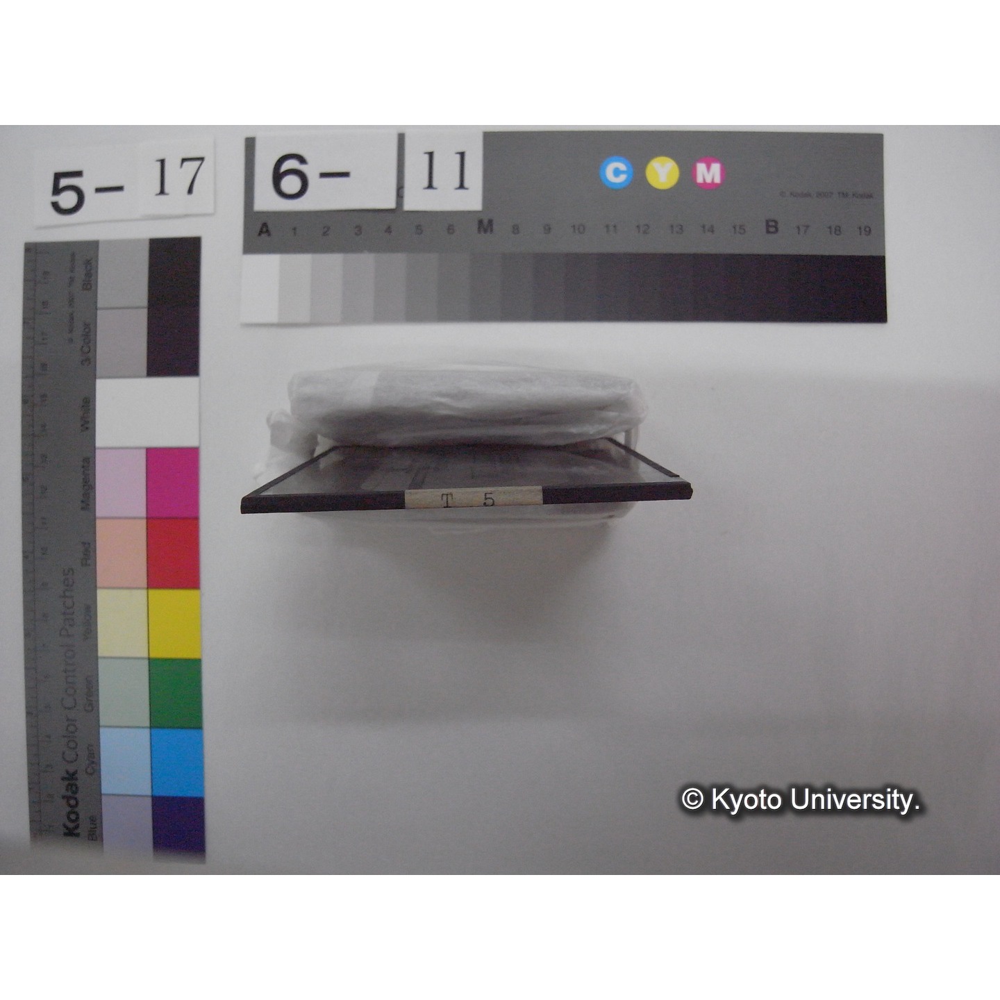 スライド(ガラス種板): T05 Reversing thermometer. (2)