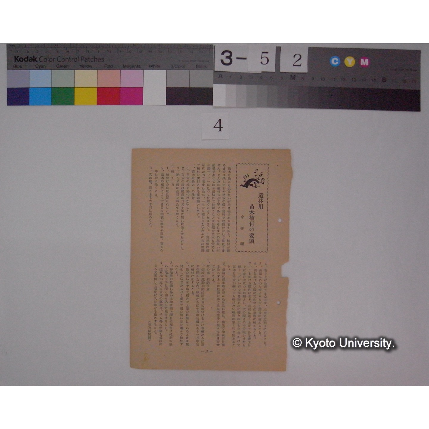 聞け小鳥の声 : 川村博士の講演要旨 (1)