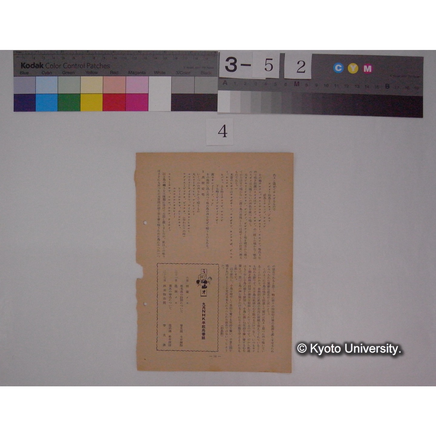 聞け小鳥の声 : 川村博士の講演要旨 (3)