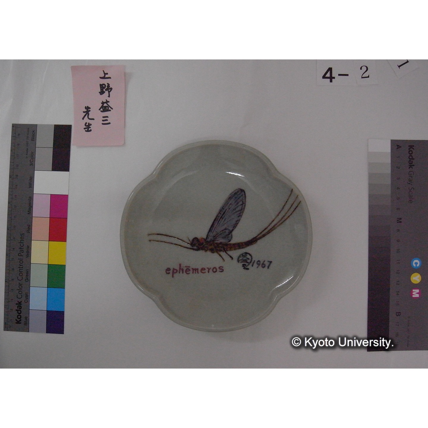 蜻蛉図輪花皿 / 上野益三絵付 ; 九谷光星窯 (2)