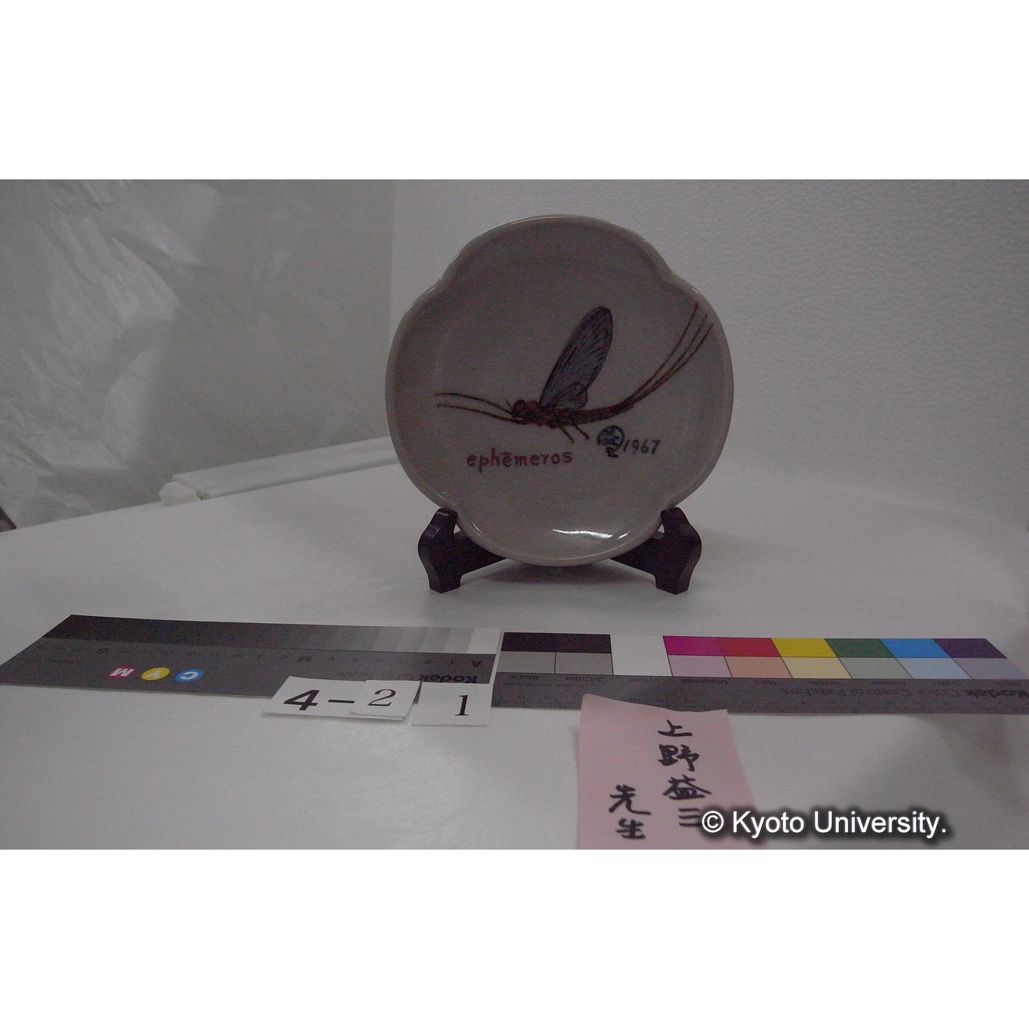 蜻蛉図輪花皿 / 上野益三絵付 ; 九谷光星窯 (3)