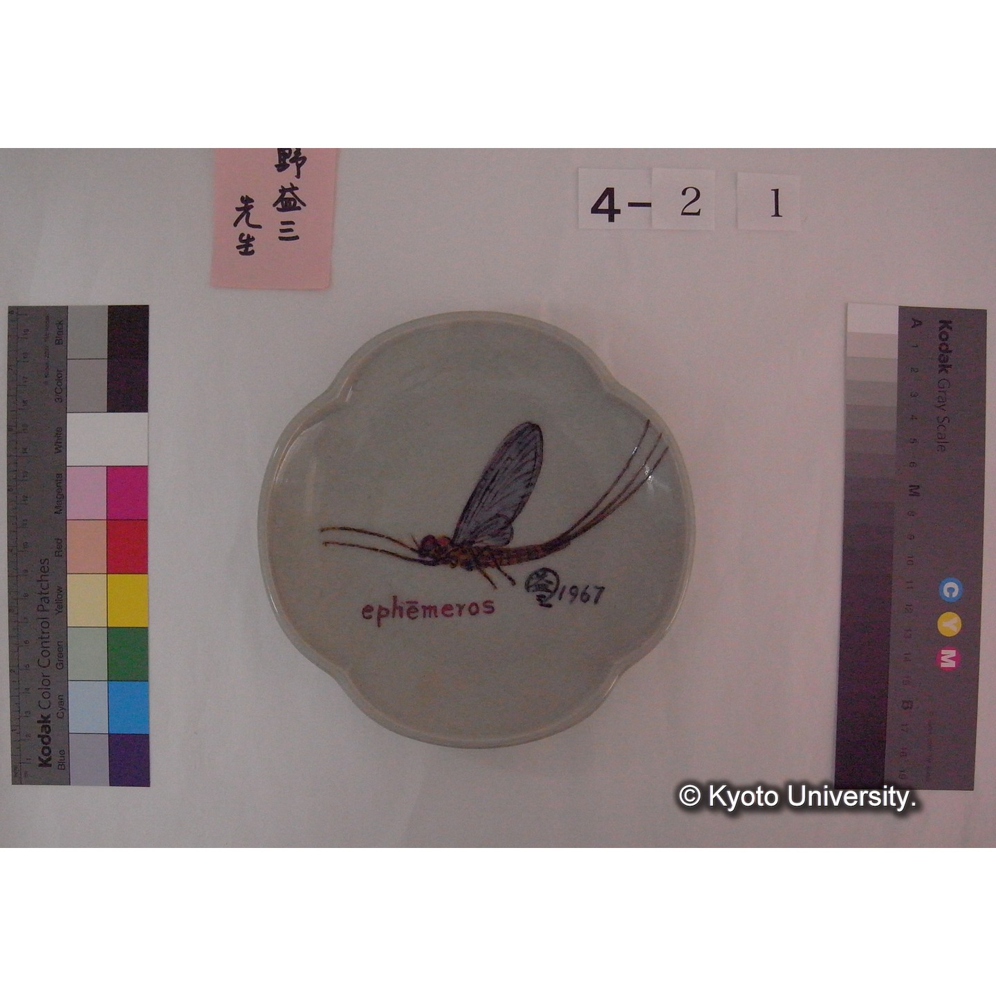 蜻蛉図輪花皿 / 上野益三絵付 ; 九谷光星窯 (4)