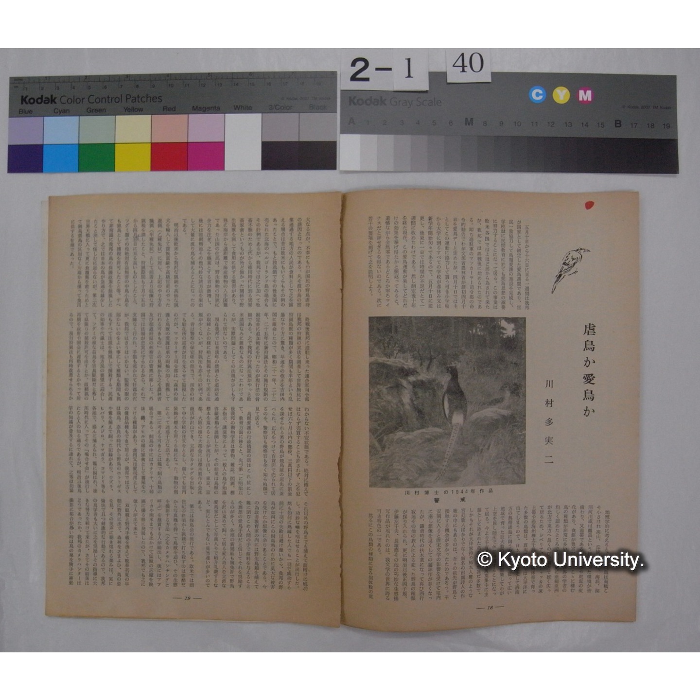 おかやま (3巻5号,昭和34.5) / 岡山広報協会 (部分) (3)