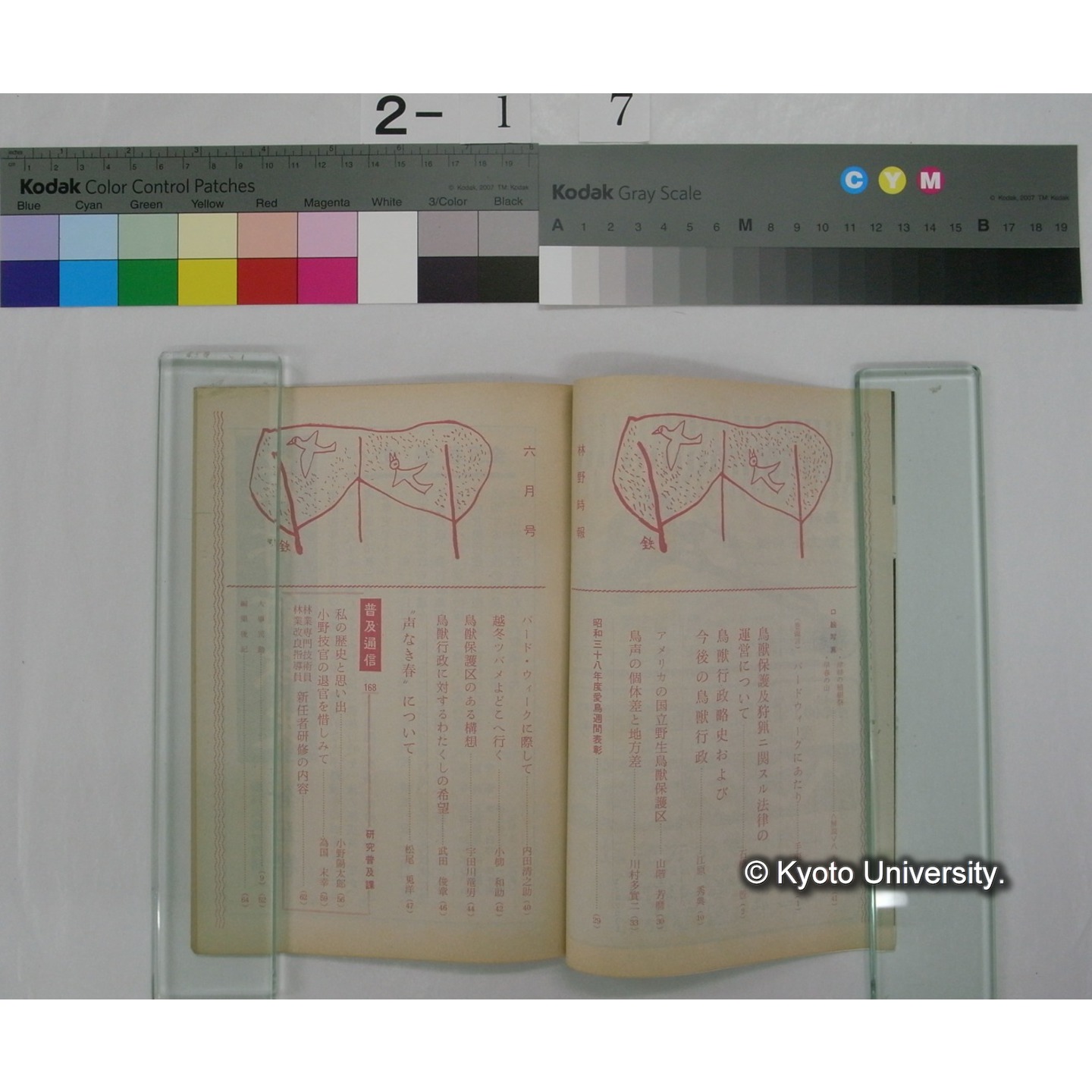 林野時報 11巻6号 / 林野庁編集 (2)