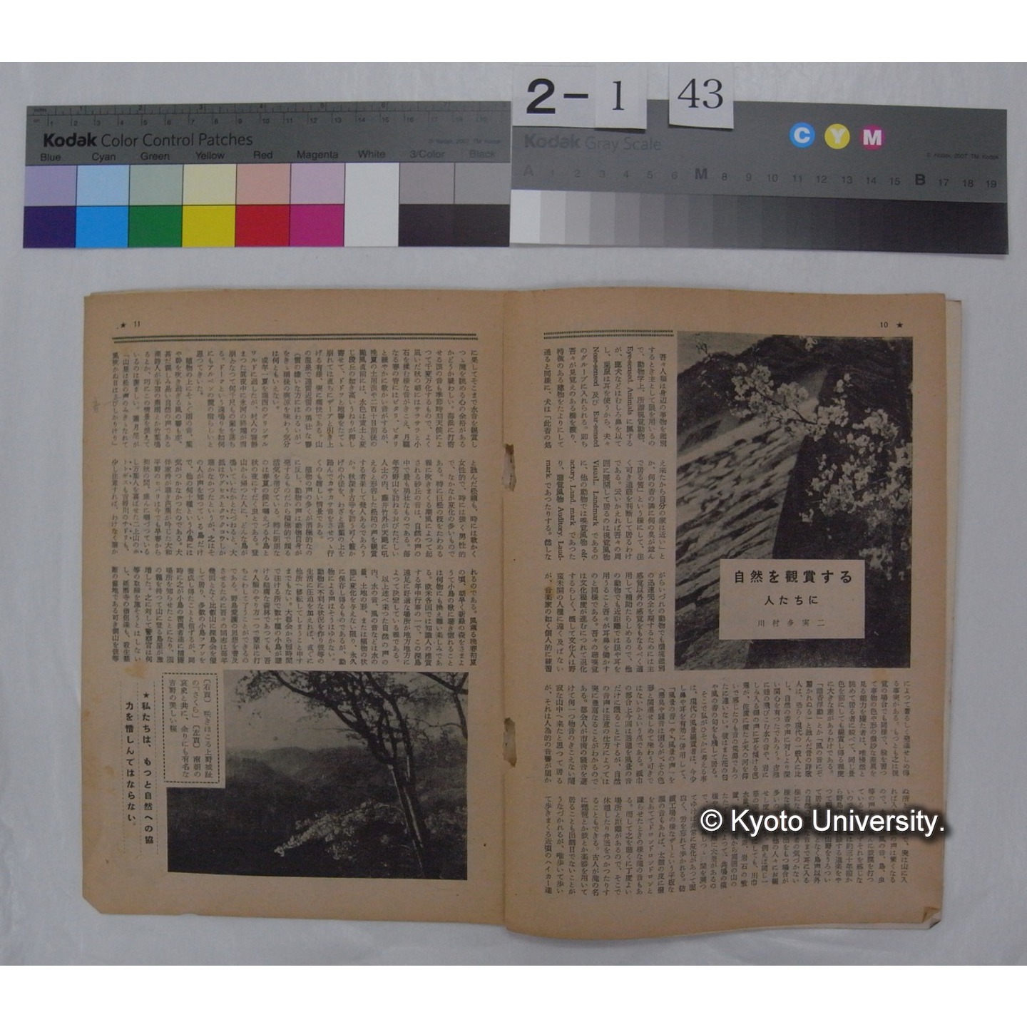 ひかり (7巻2号) / 近畿日本鉄道 (部分) (2)