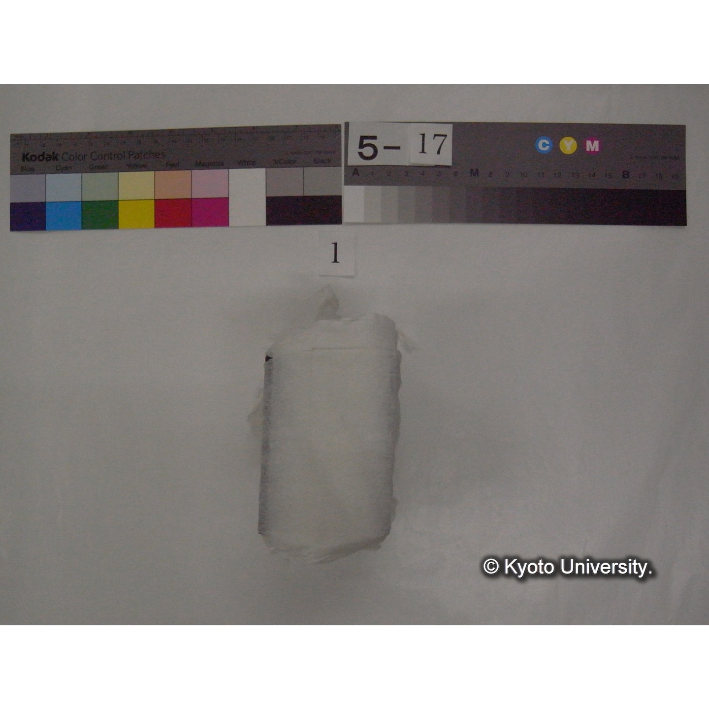 スライド(ガラス種板) (1)