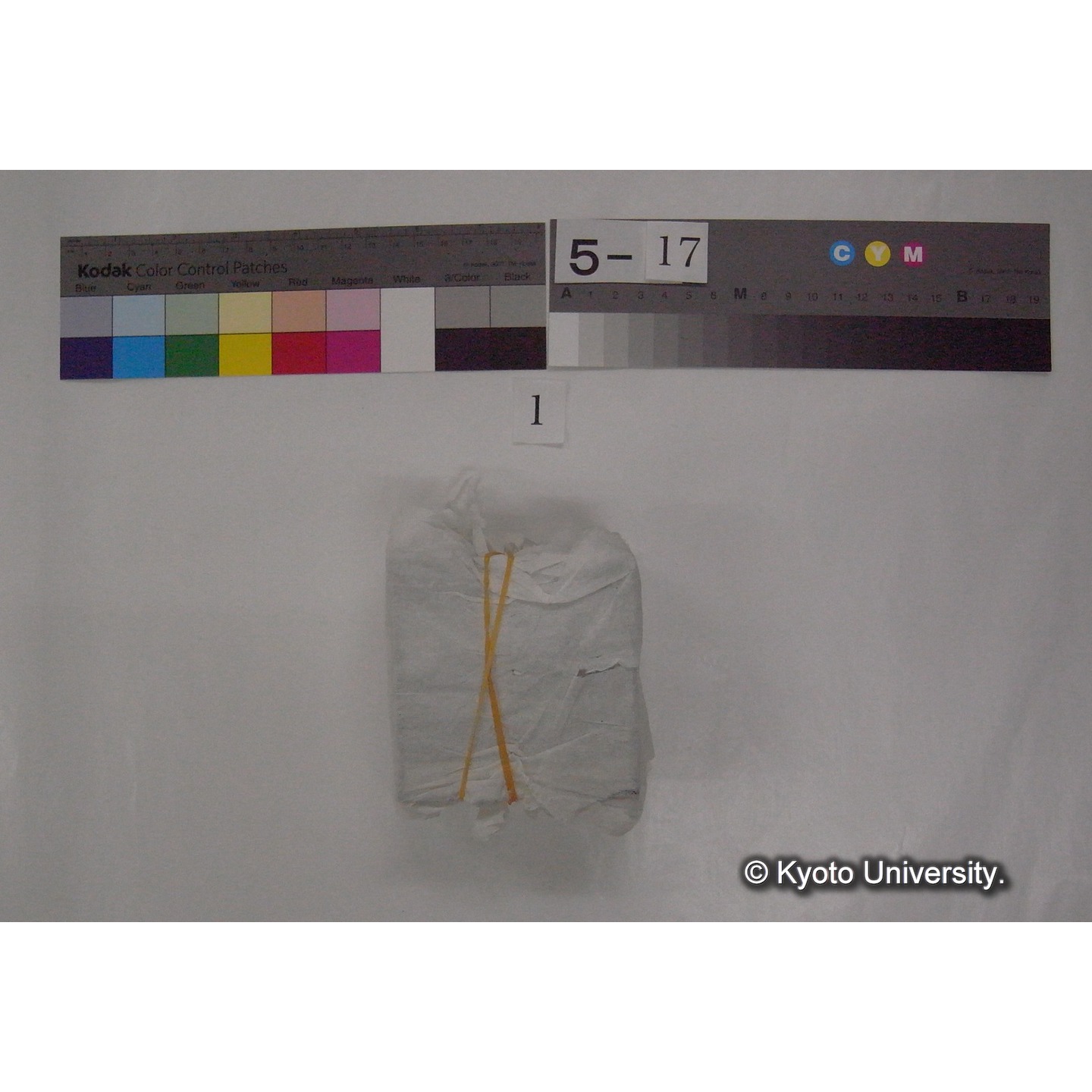 スライド(ガラス種板) (2)