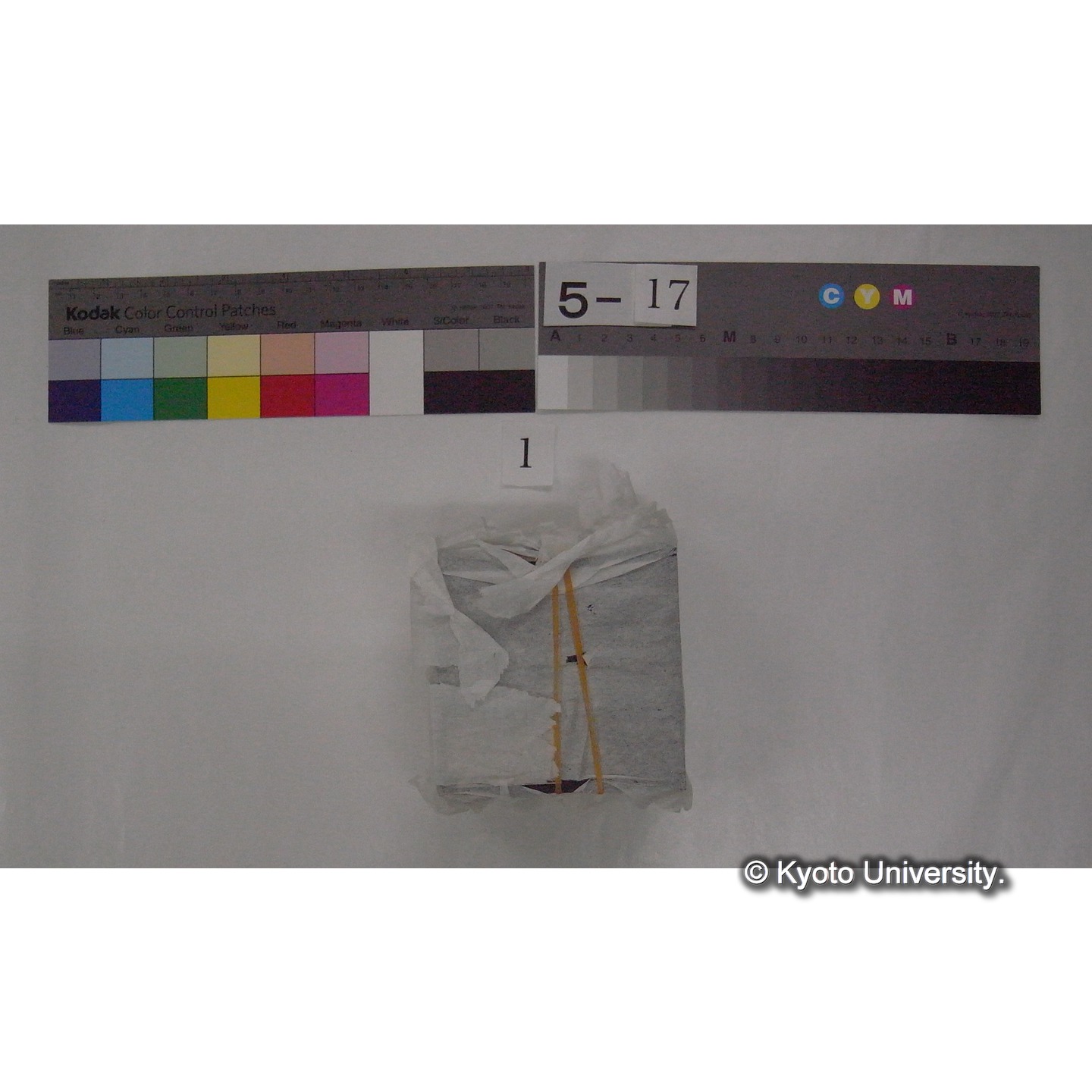 スライド(ガラス種板) (4)