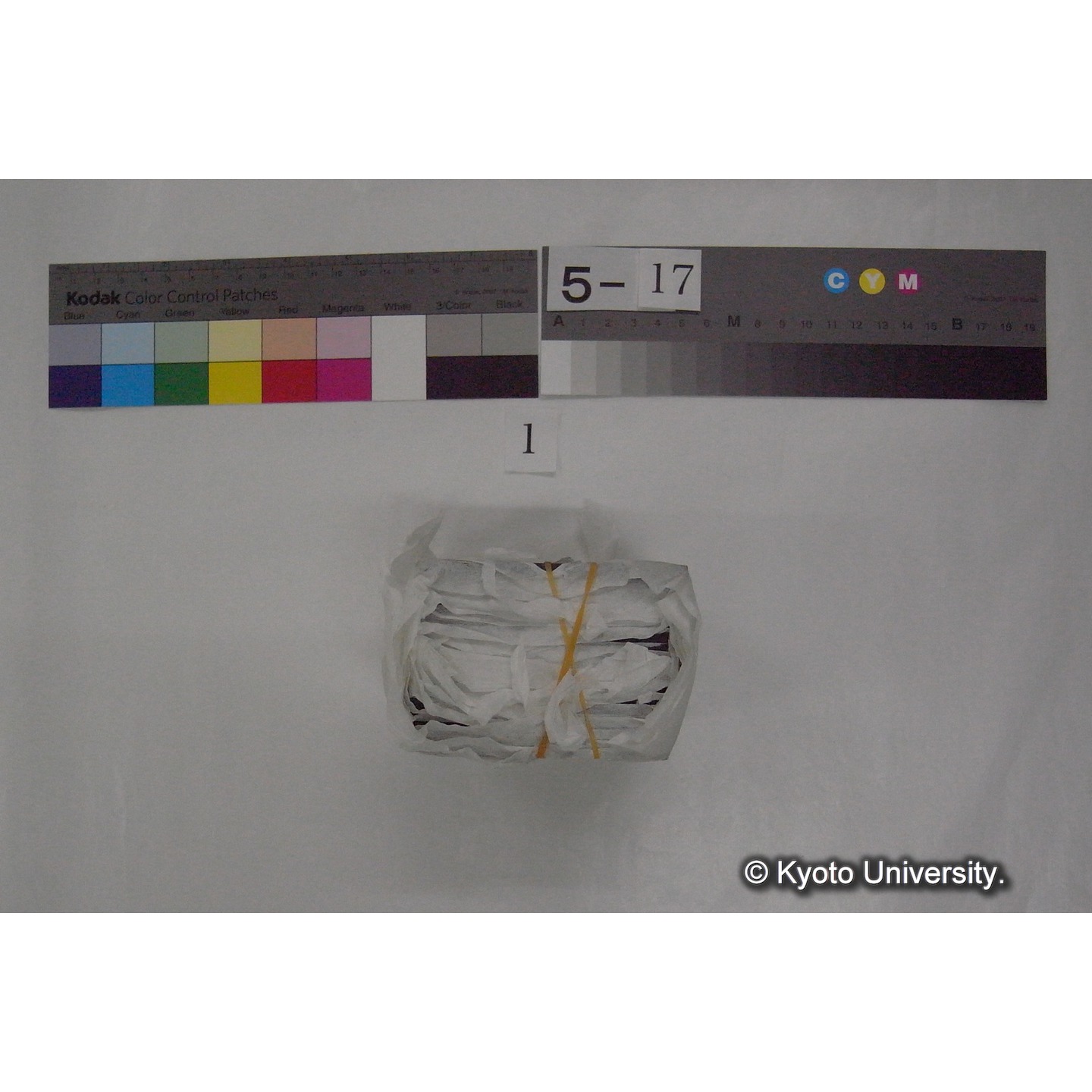 スライド(ガラス種板) (5)