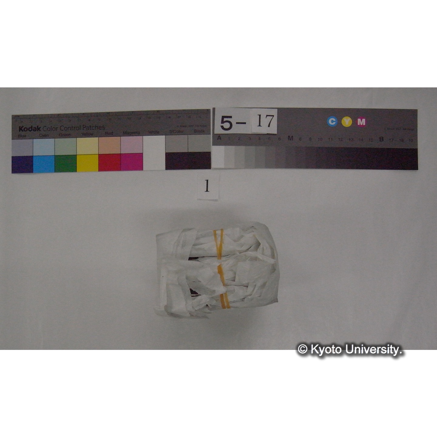 スライド(ガラス種板) (6)