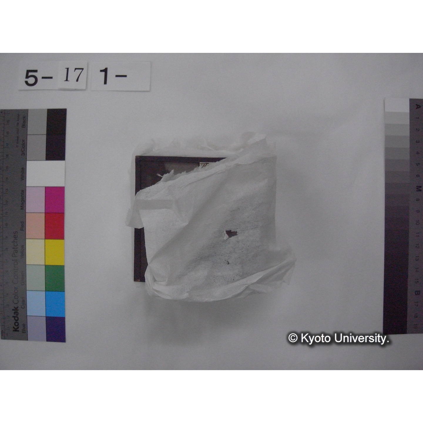 スライド(ガラス種板) (7)