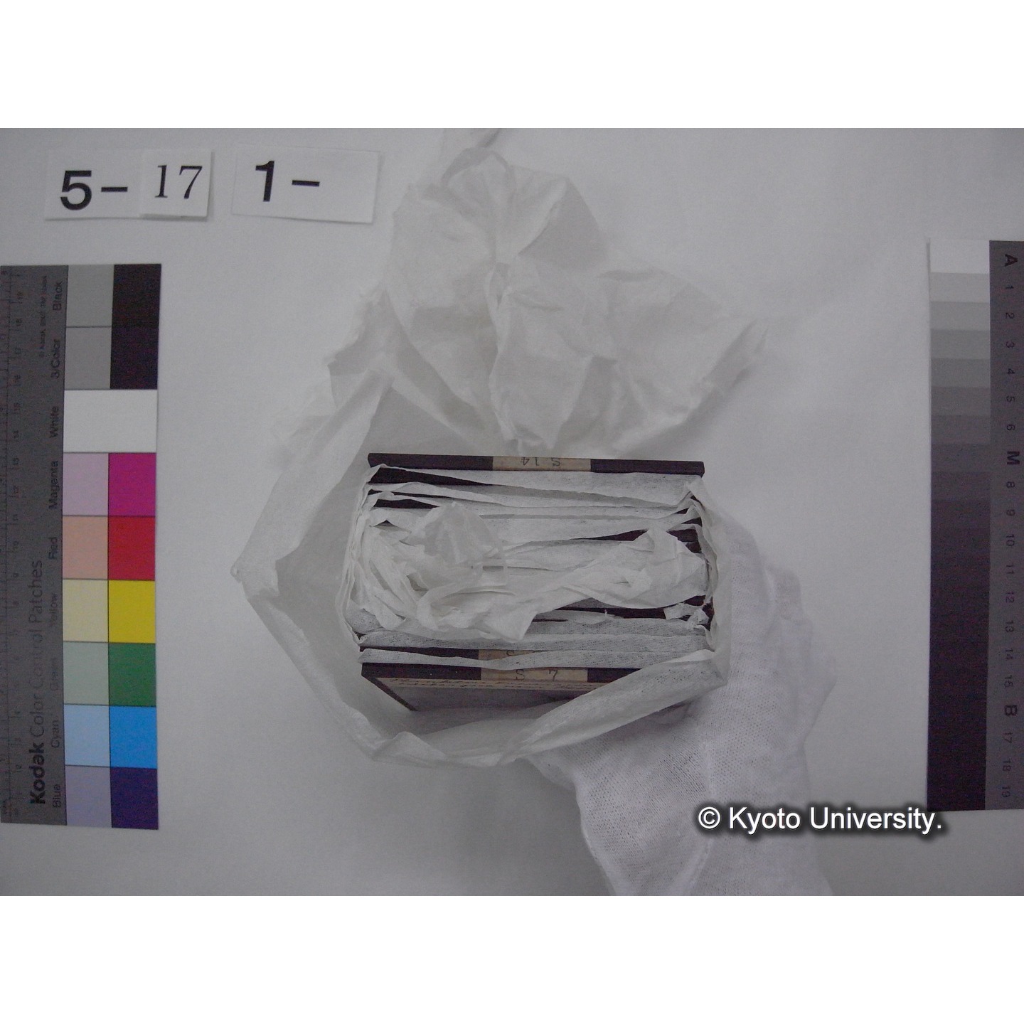 スライド(ガラス種板) (10)