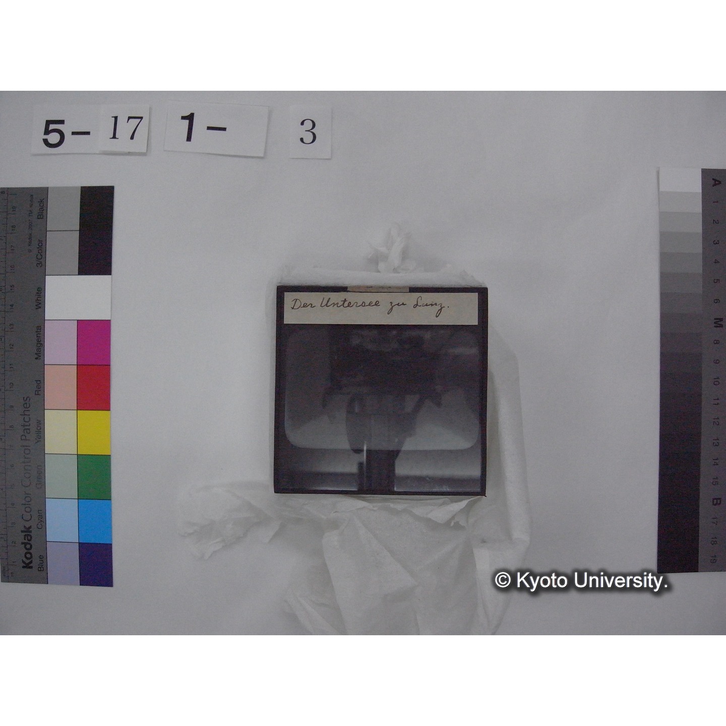 スライド(ガラス種板) (11)