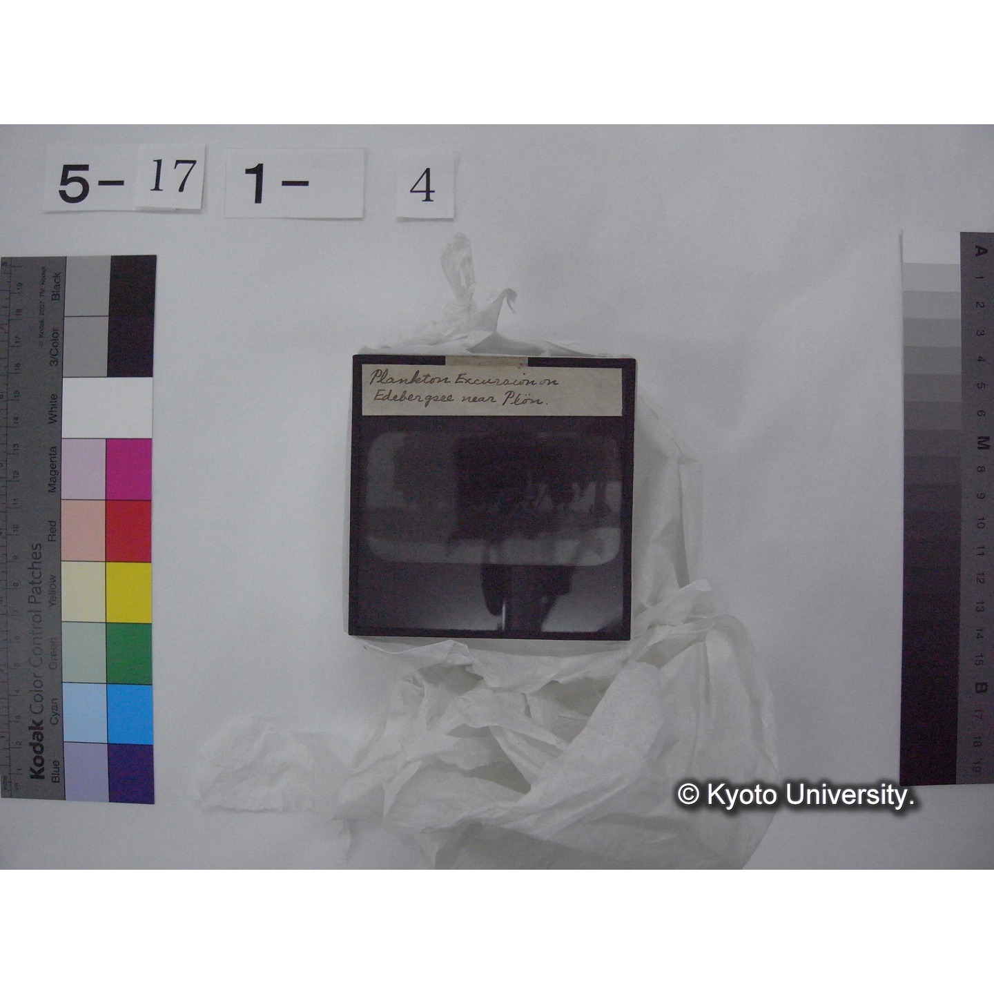 スライド(ガラス種板) (12)