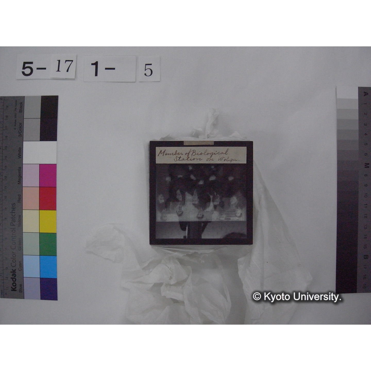 スライド(ガラス種板) (13)