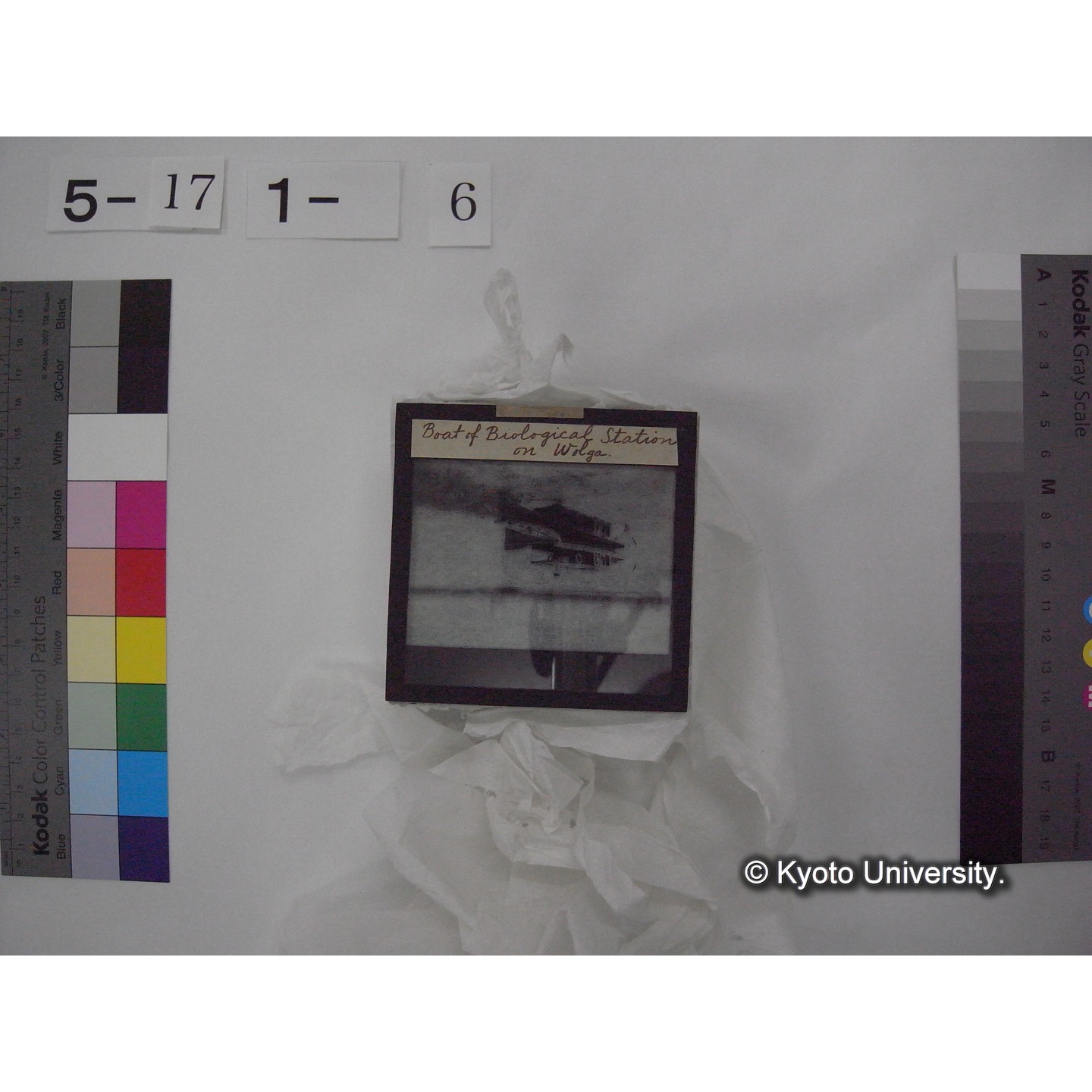 スライド(ガラス種板) (14)