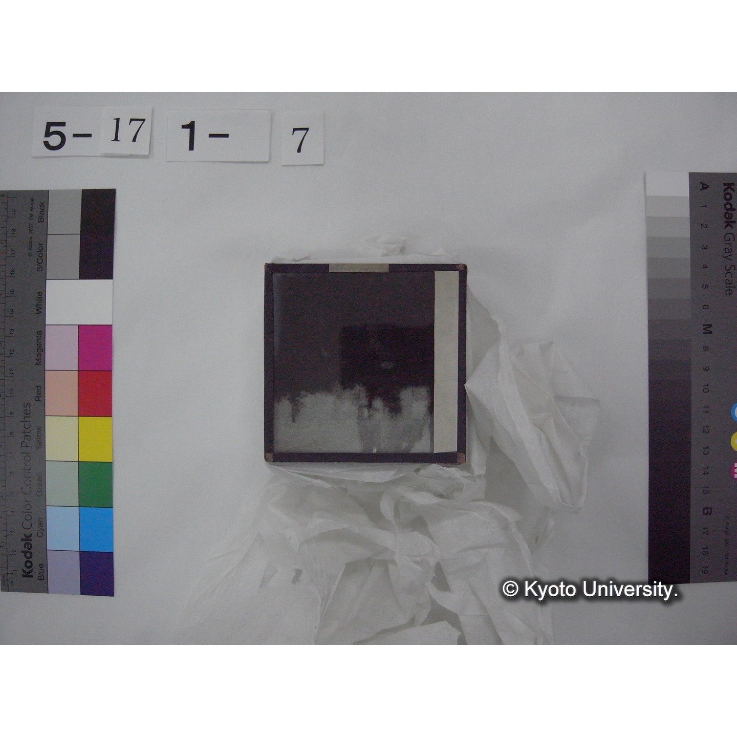 スライド(ガラス種板) (15)