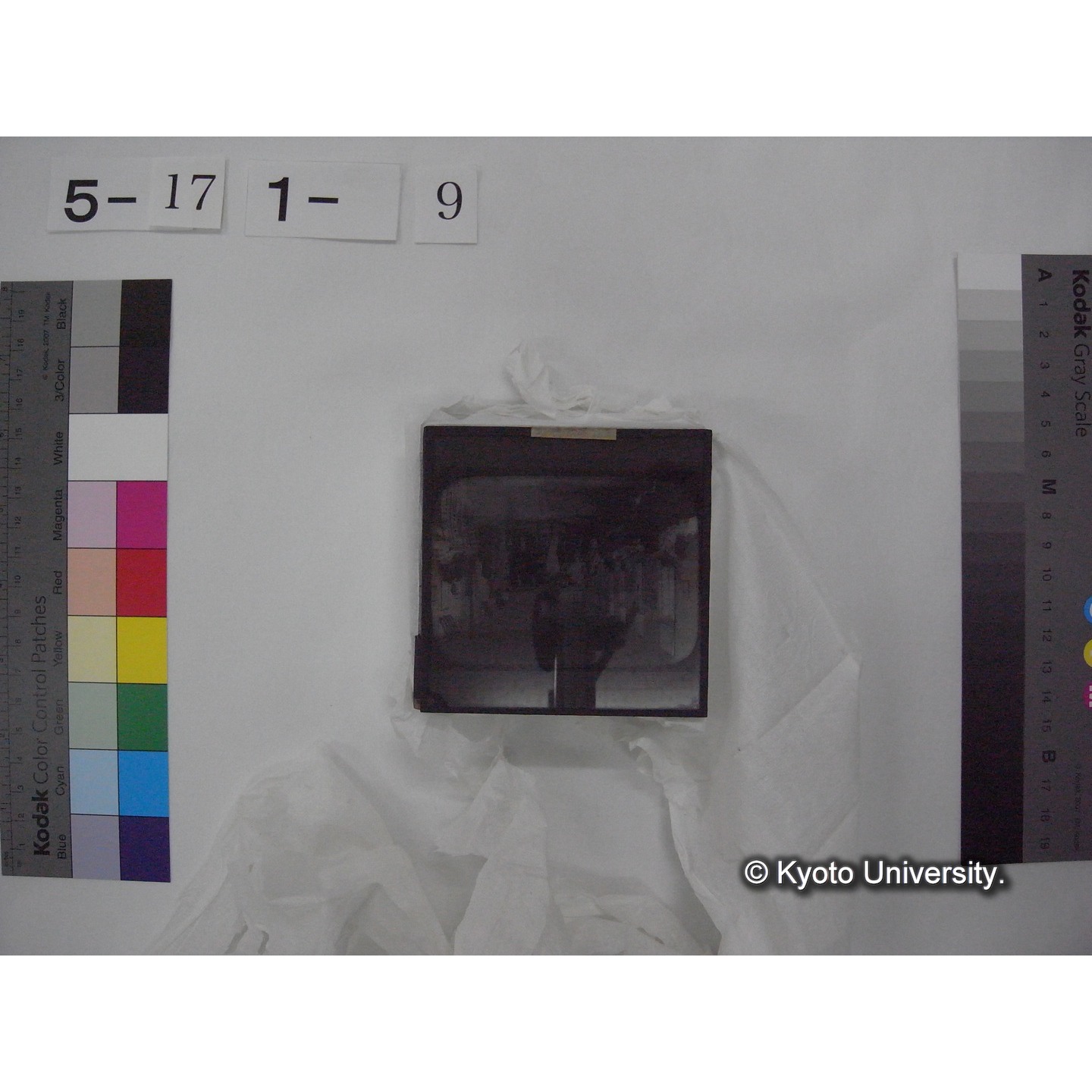 スライド(ガラス種板) (17)