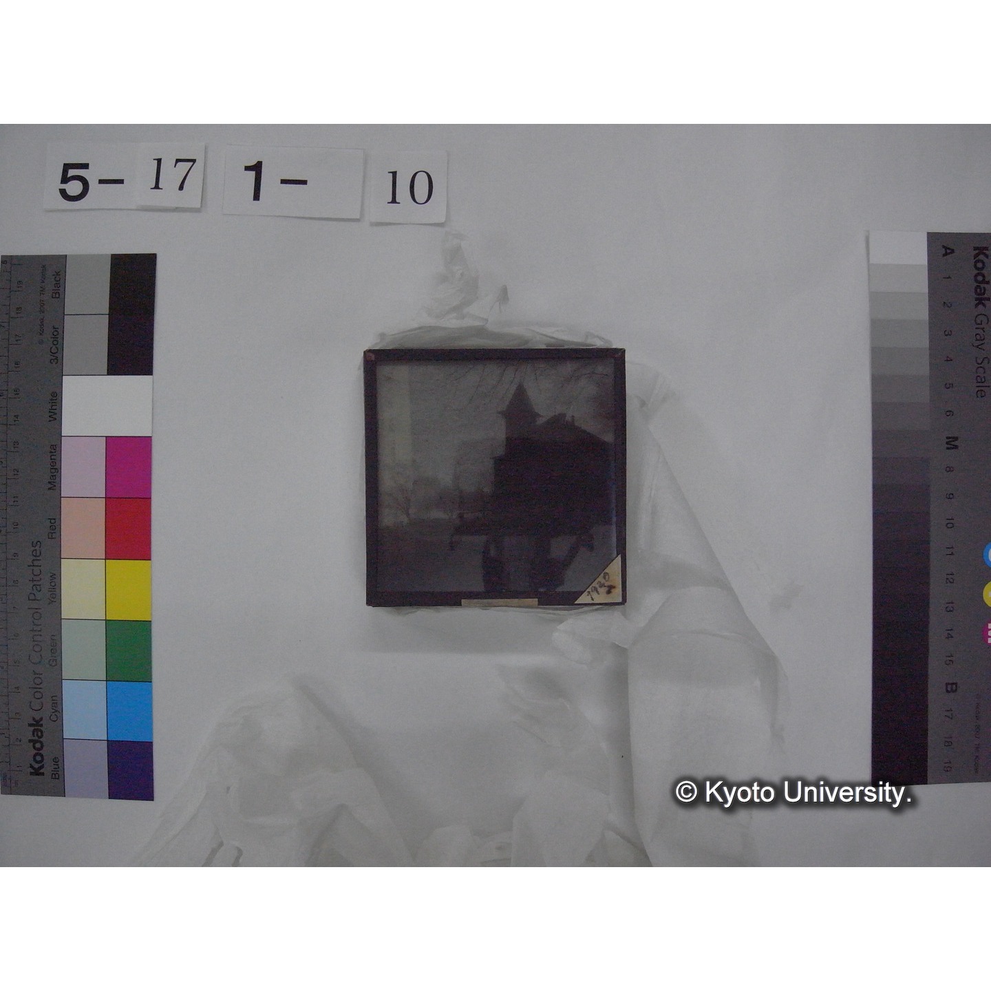 スライド(ガラス種板) (18)