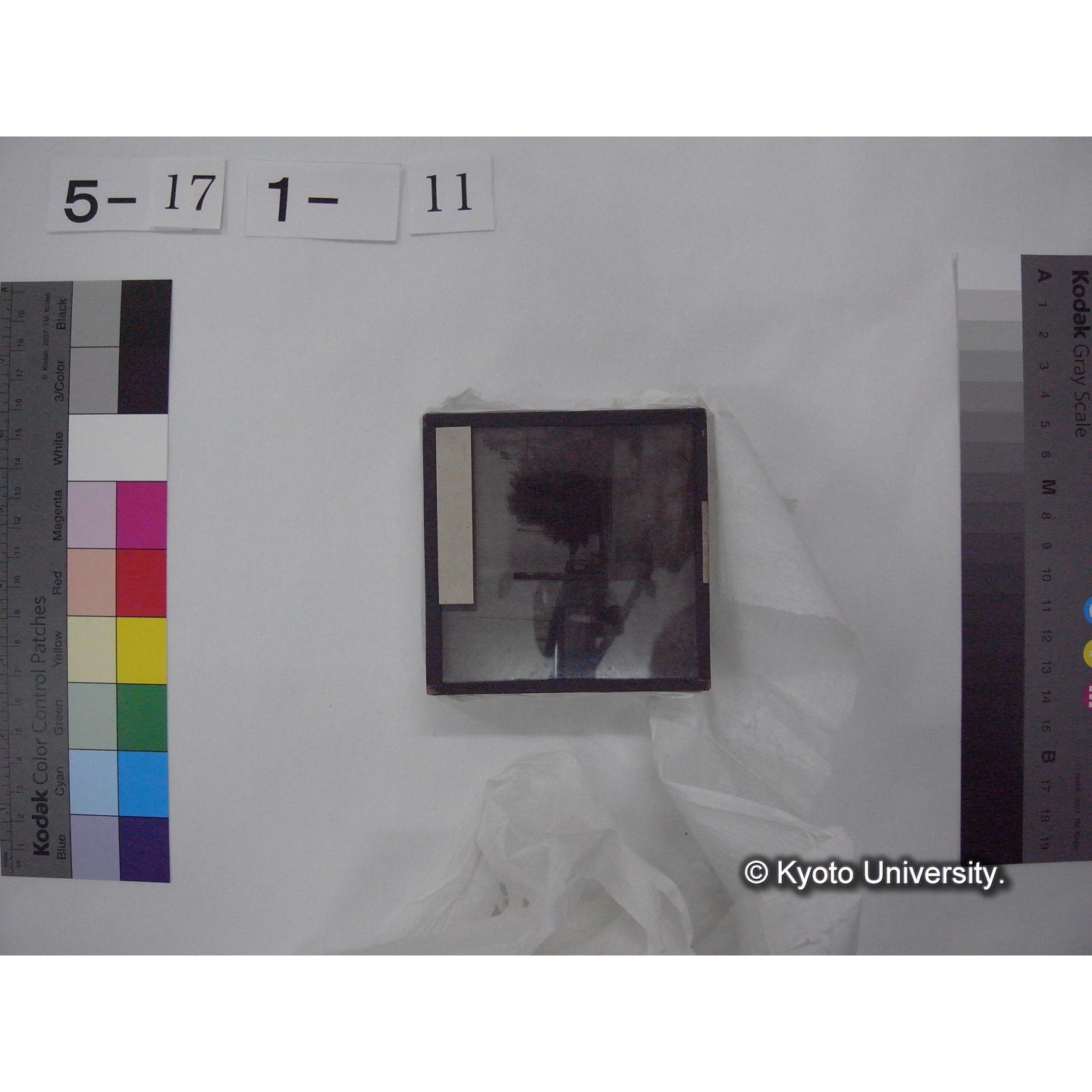 スライド(ガラス種板) (19)