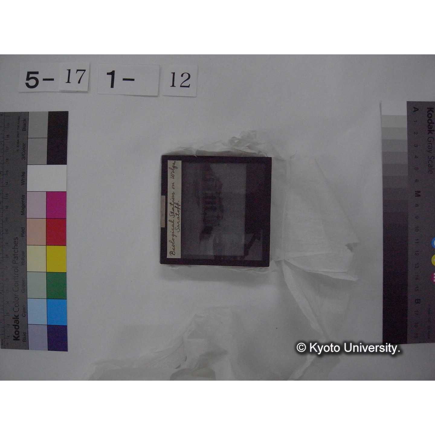 スライド(ガラス種板) (20)