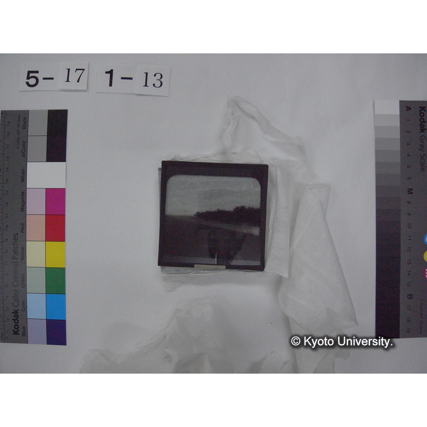 スライド(ガラス種板) (21)