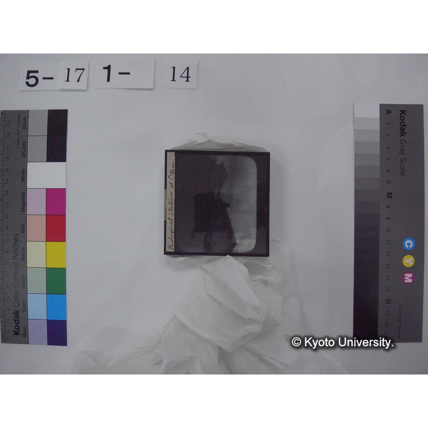 スライド(ガラス種板) (22)