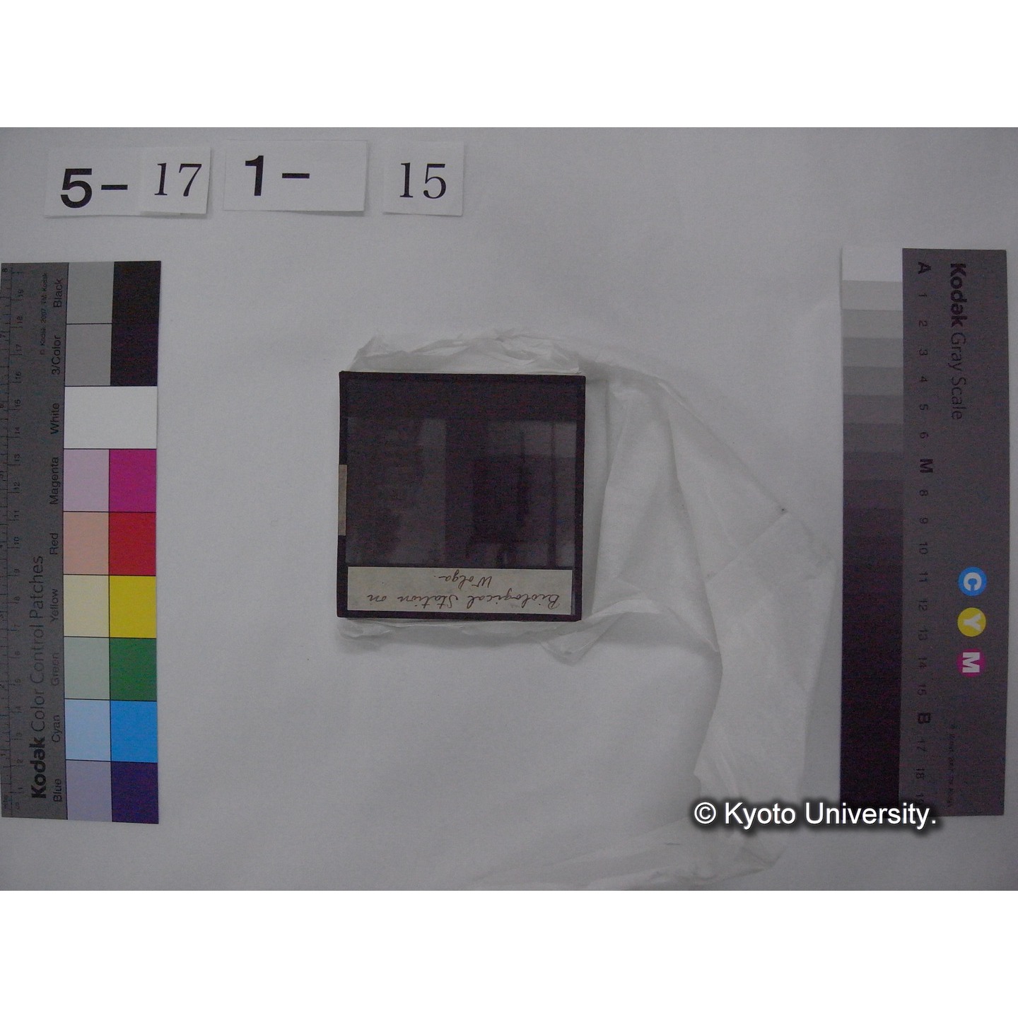 スライド(ガラス種板) (23)