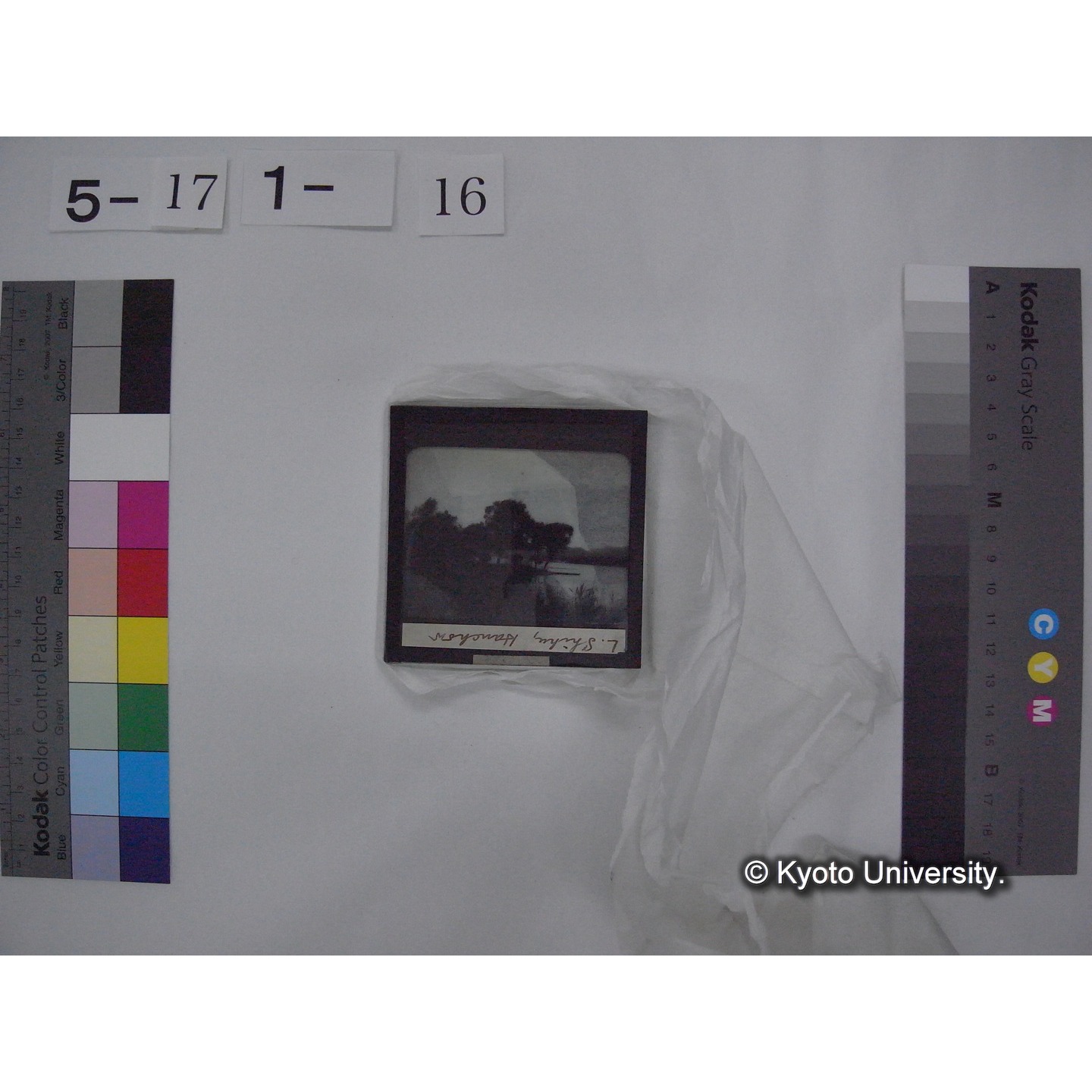 スライド(ガラス種板) (24)