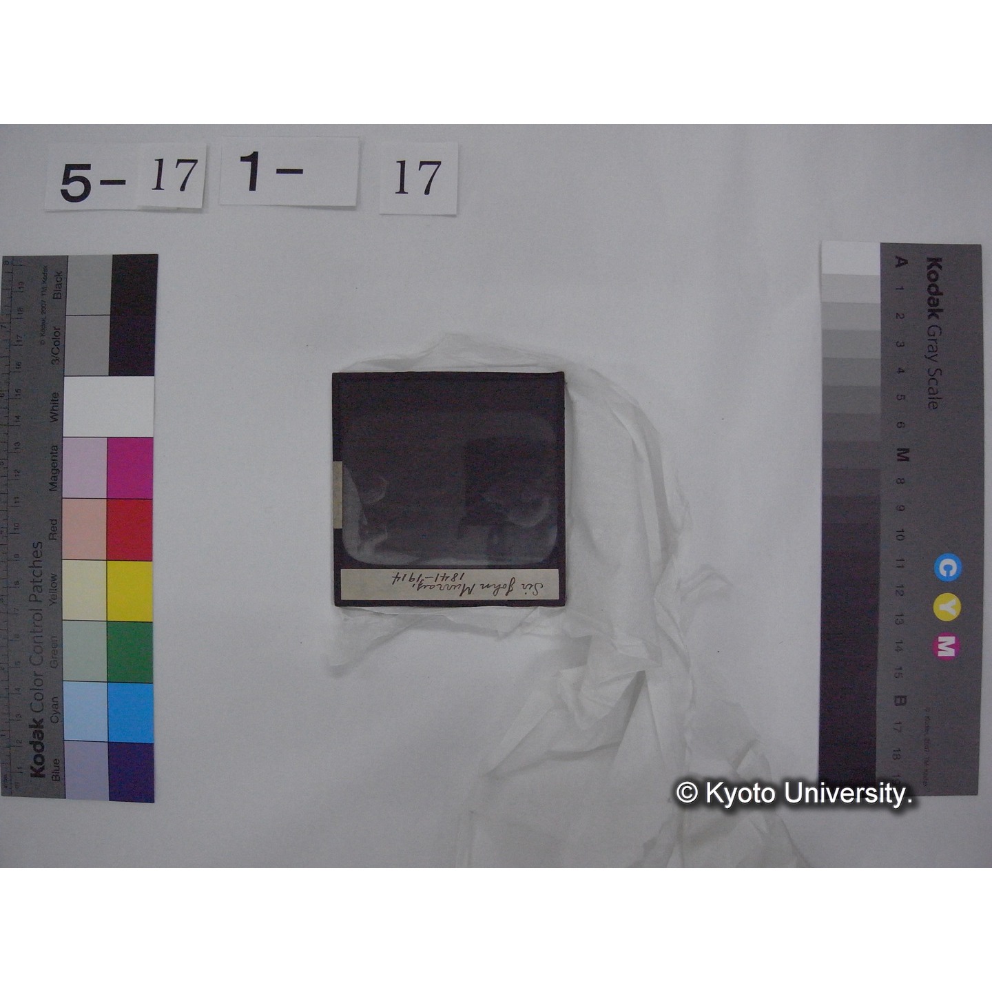 スライド(ガラス種板) (25)