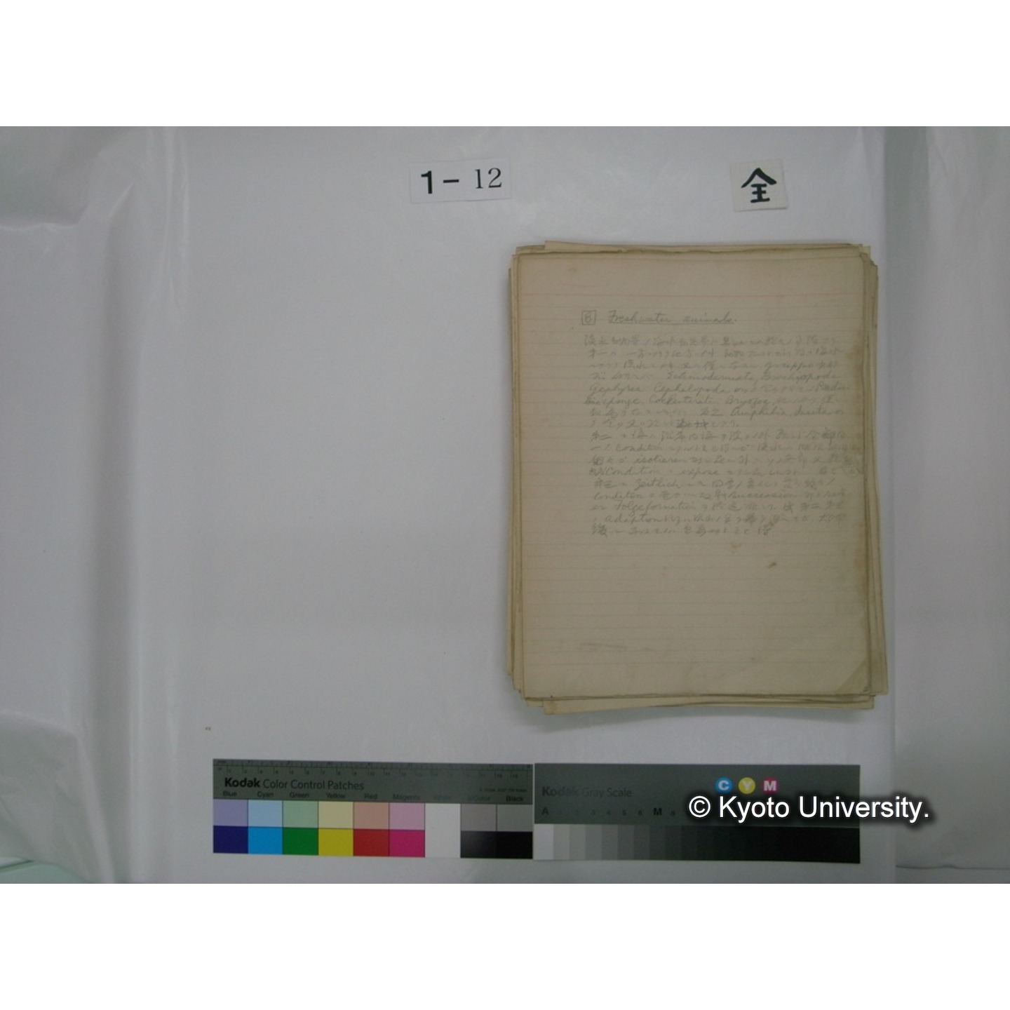 (水生生物) [直筆原稿] / (川村多實二) (1)