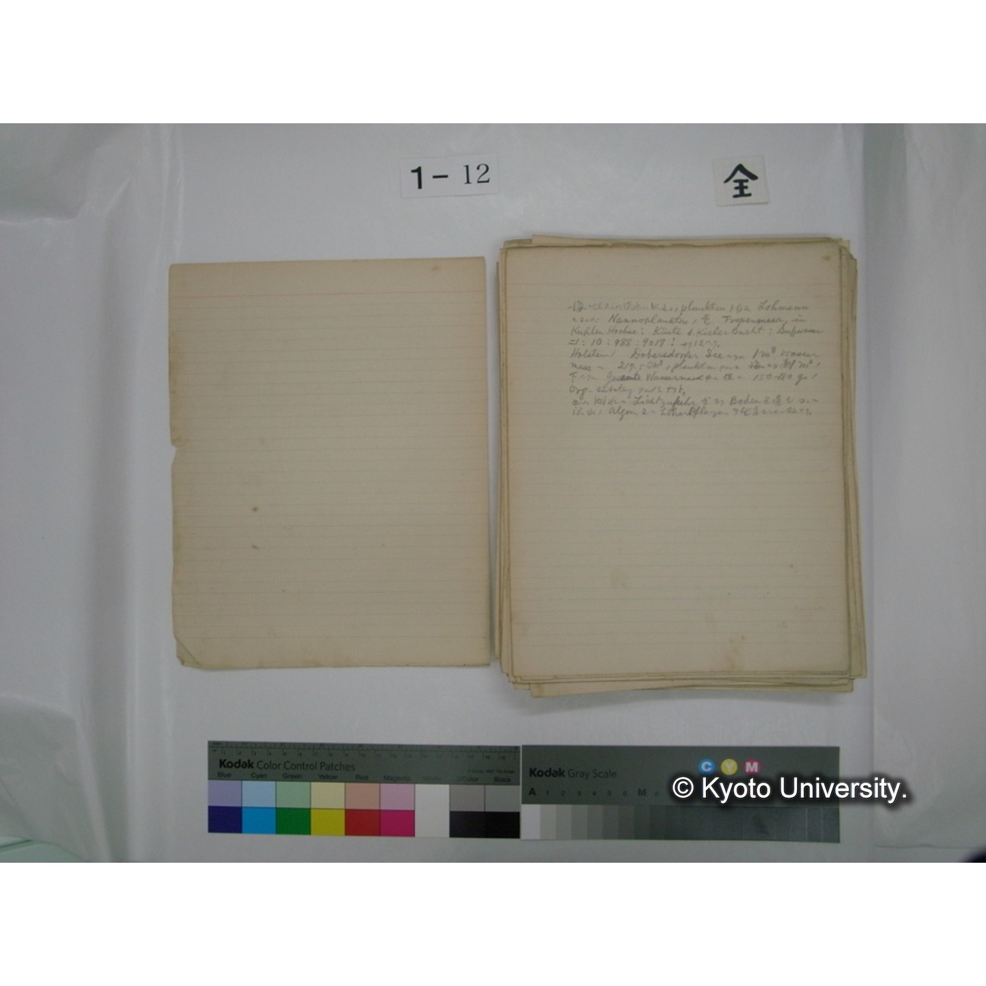 (水生生物) [直筆原稿] / (川村多實二) (2)