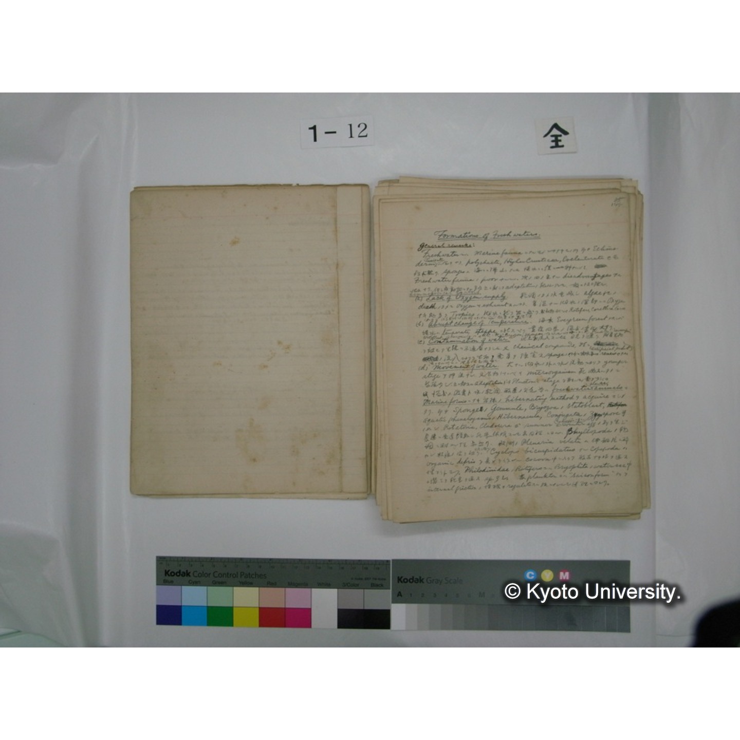 (水生生物) [直筆原稿] / (川村多實二) (4)