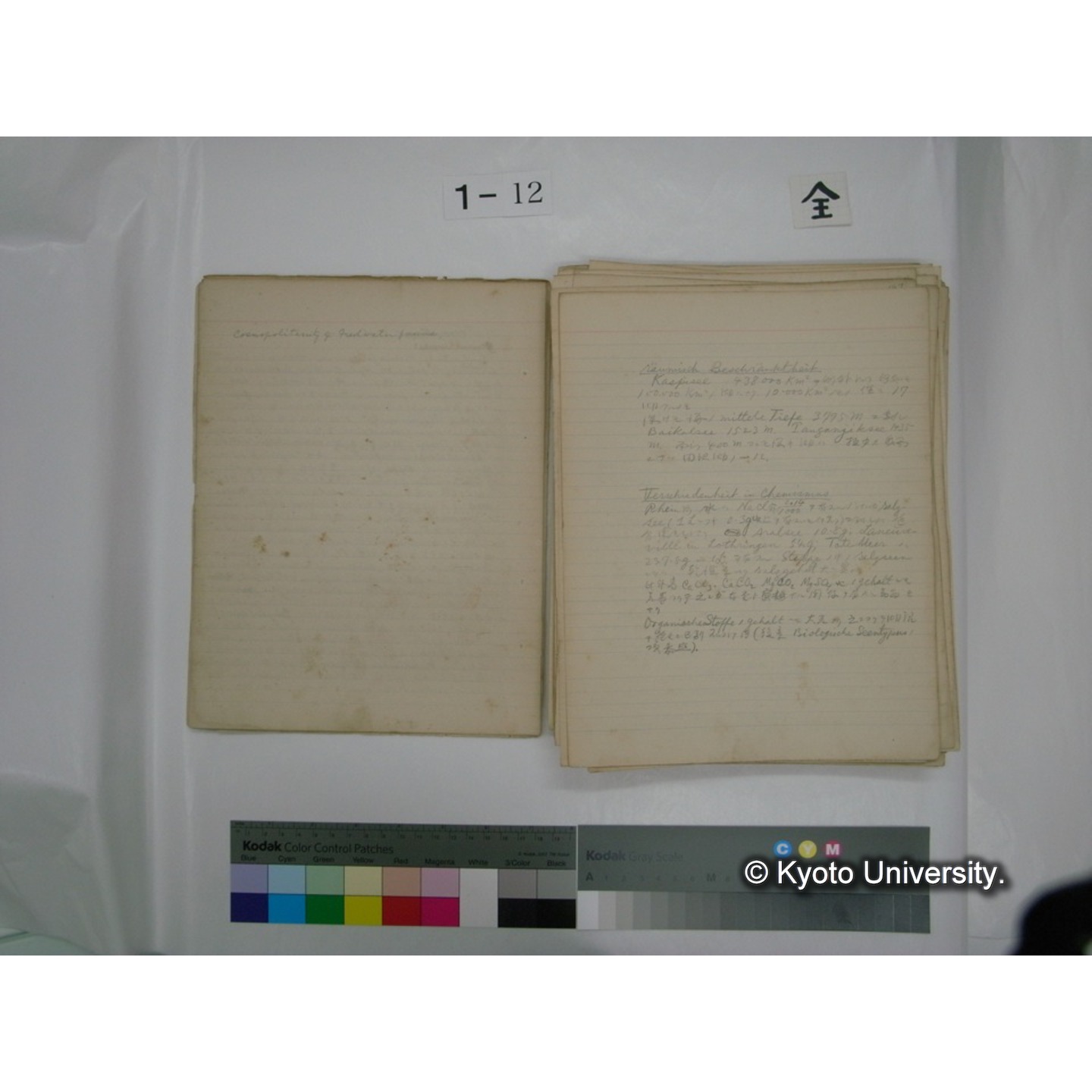 (水生生物) [直筆原稿] / (川村多實二) (5)