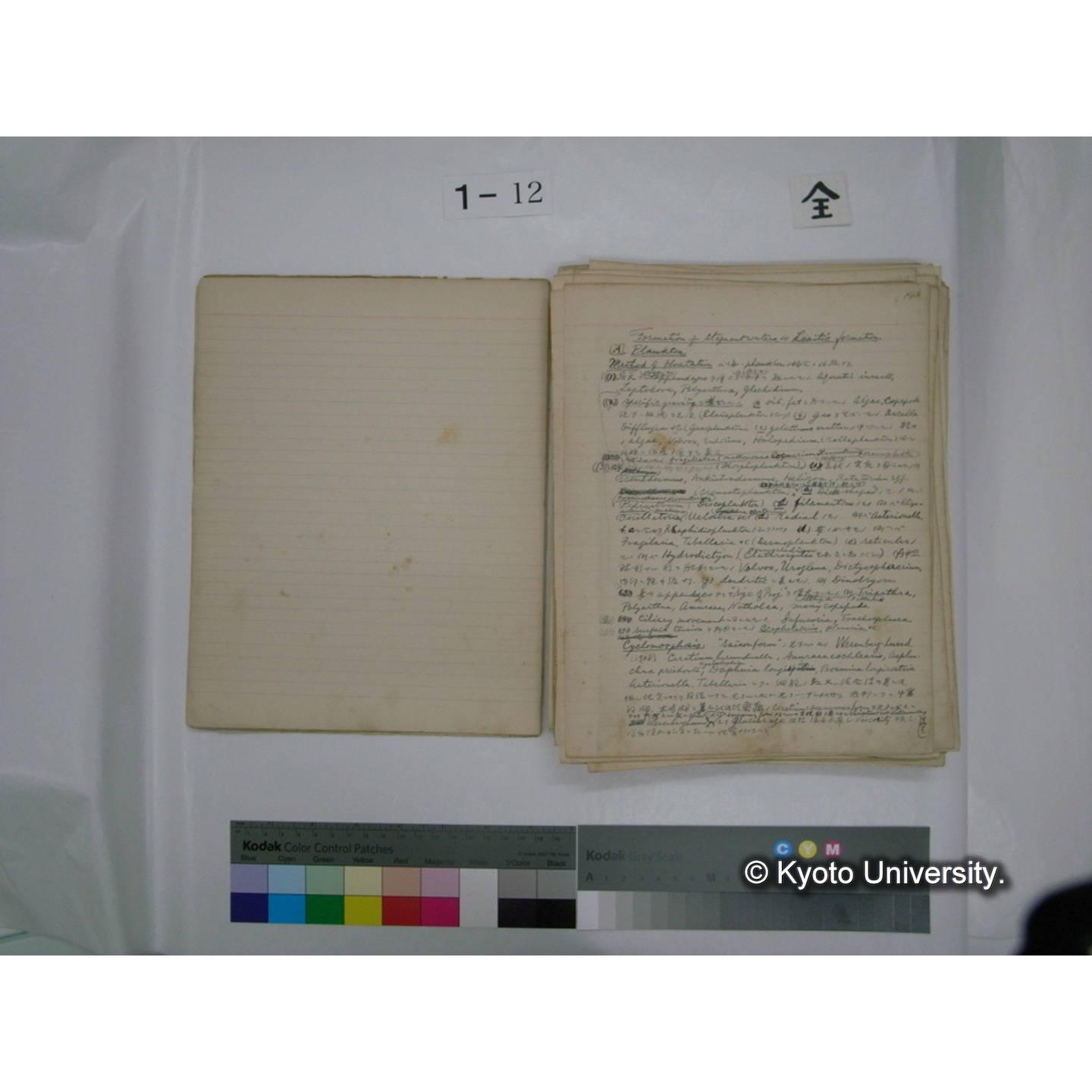 (水生生物) [直筆原稿] / (川村多實二) (6)