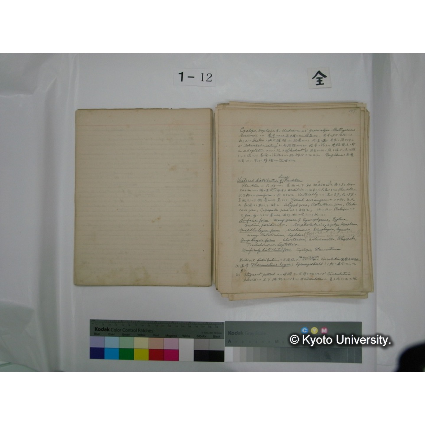 (水生生物) [直筆原稿] / (川村多實二) (7)