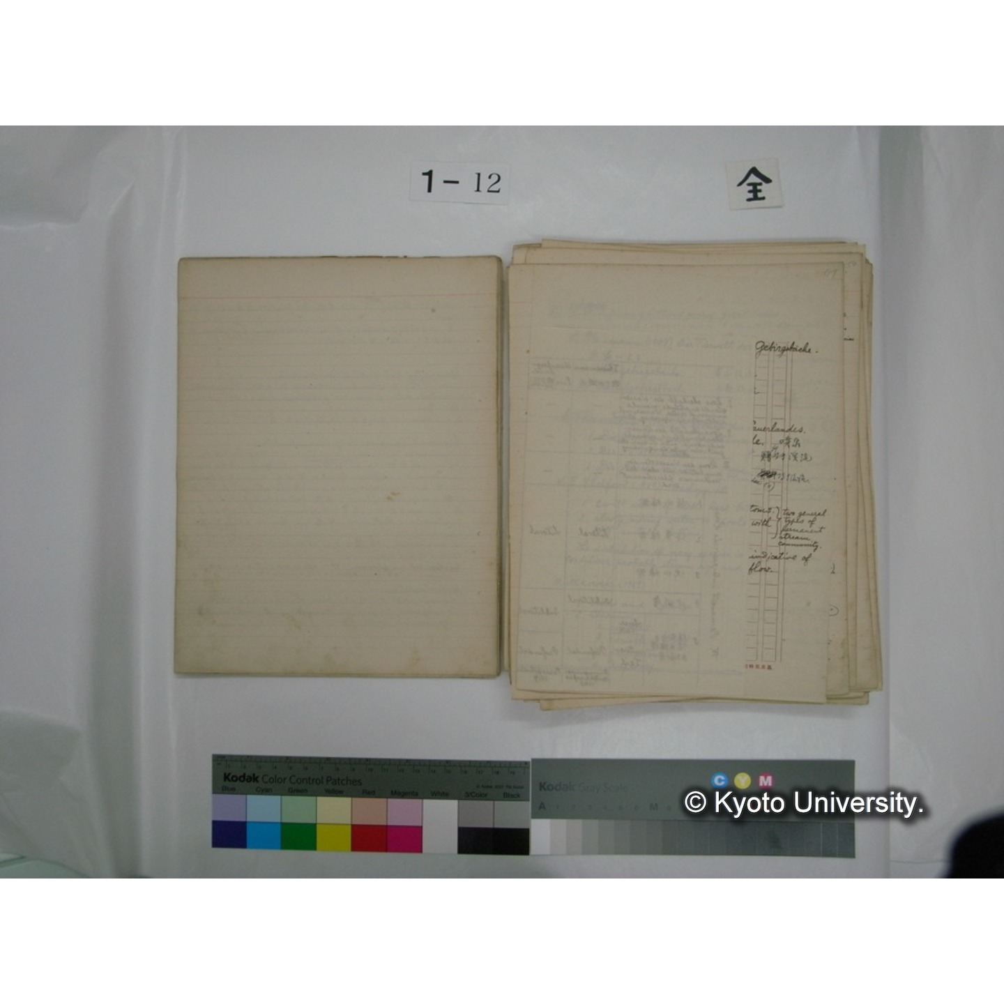 (水生生物) [直筆原稿] / (川村多實二) (9)