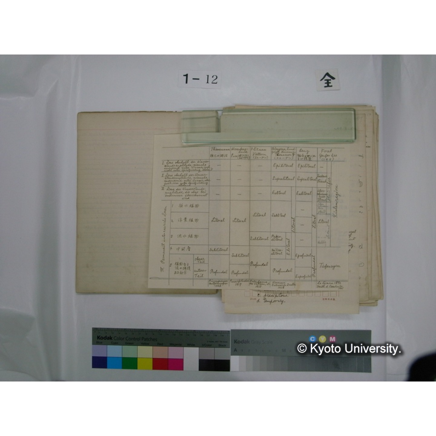 (水生生物) [直筆原稿] / (川村多實二) (11)