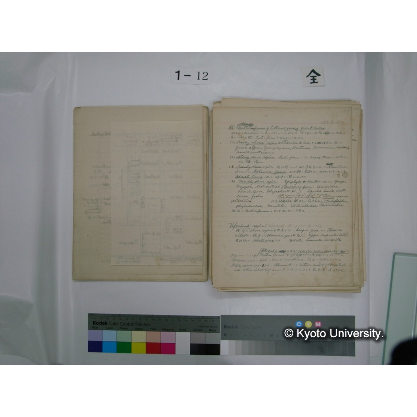 (水生生物) [直筆原稿] / (川村多實二) (12)