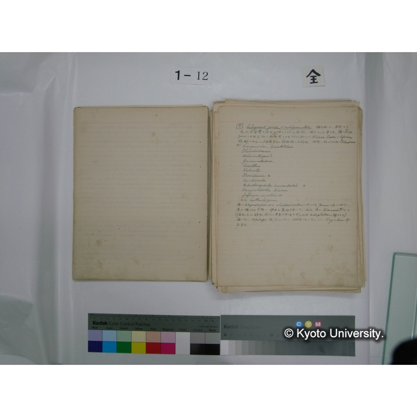 (水生生物) [直筆原稿] / (川村多實二) (13)