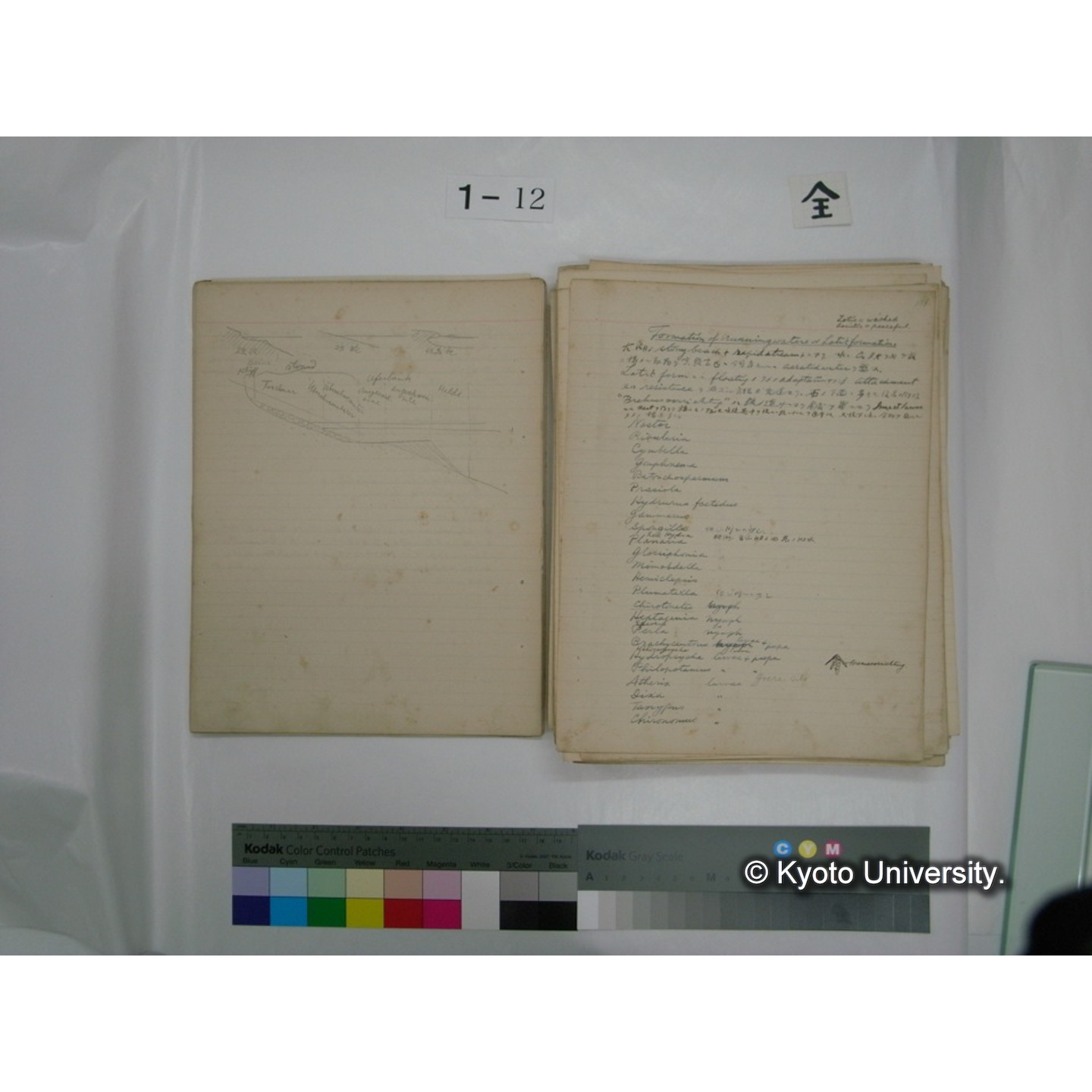 (水生生物) [直筆原稿] / (川村多實二) (14)