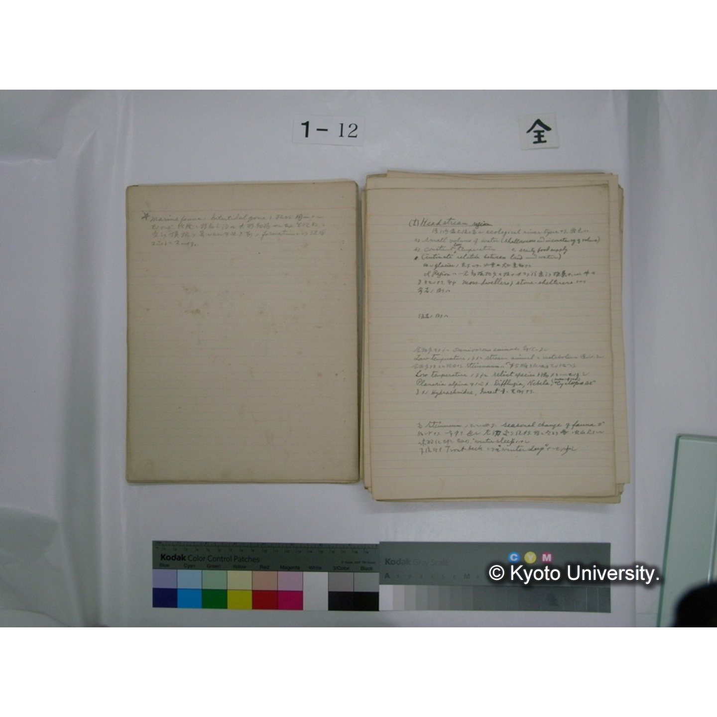 (水生生物) [直筆原稿] / (川村多實二) (16)