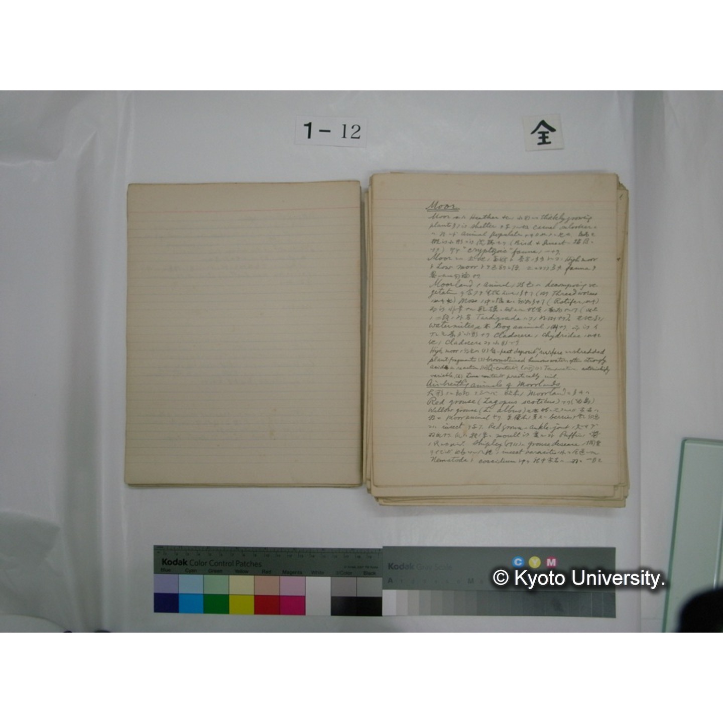 (水生生物) [直筆原稿] / (川村多實二) (17)