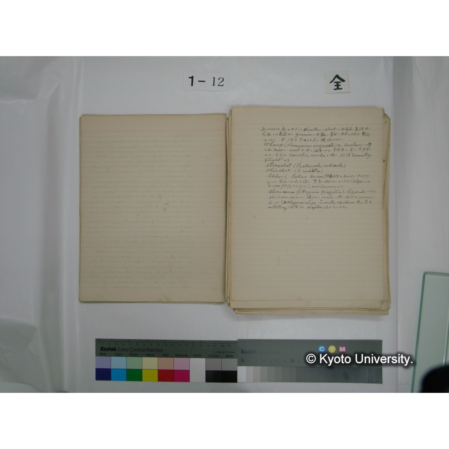 (水生生物) [直筆原稿] / (川村多實二) (18)