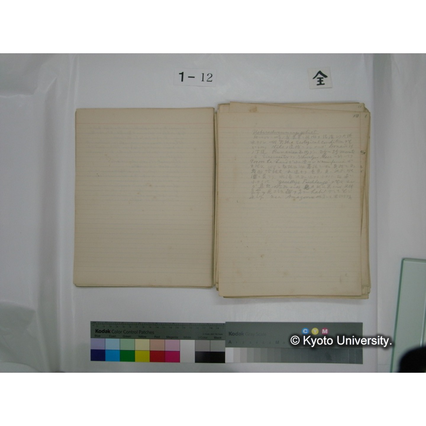 (水生生物) [直筆原稿] / (川村多實二) (19)