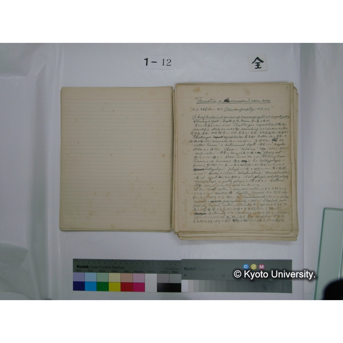 (水生生物) [直筆原稿] / (川村多實二) (20)